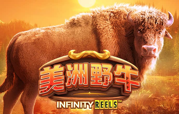 威斯尼斯人wns579下载