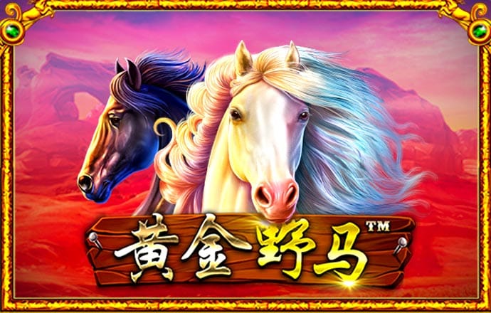pg试玩入口